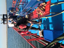 Competities HSV Alfheim